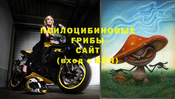 ПСИЛОЦИБИНОВЫЕ ГРИБЫ Белоозёрский