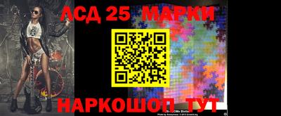 прущие грибы Кимры