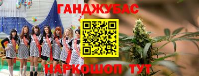 прущие грибы Кимры